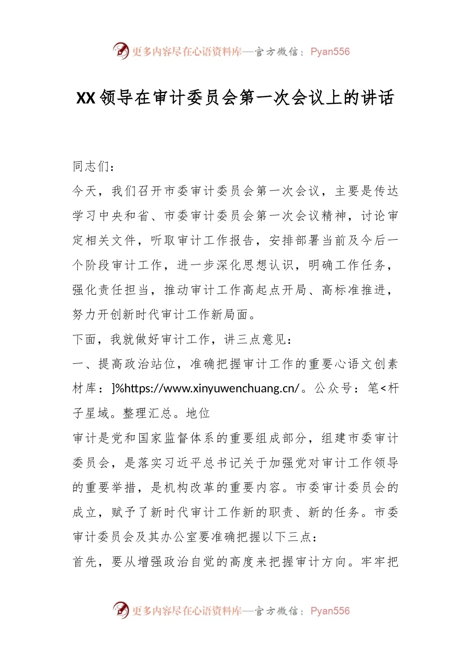 XX领导在审计委员会第一次会议上的讲话.docx_第1页