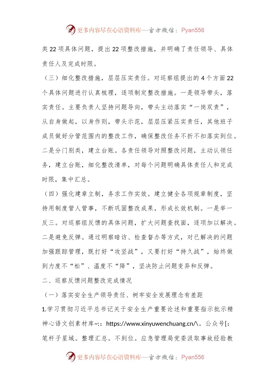 X局关于市委巡察组安全生产工作开展专项巡察整改情况的报告.docx_第2页