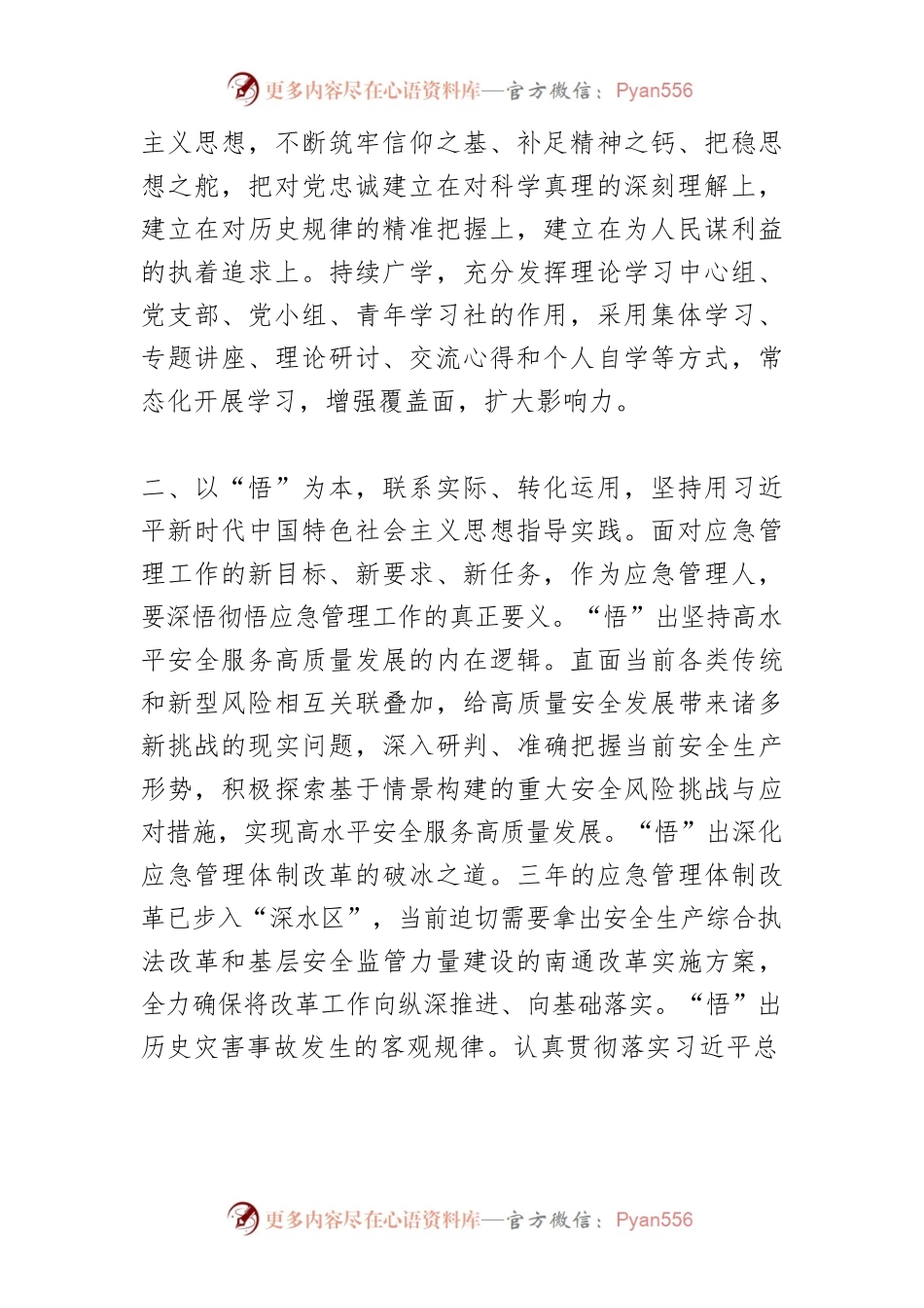 【应急管理系统中心组研讨发言】贯彻新发展理念 服务高质量发展.docx_第2页