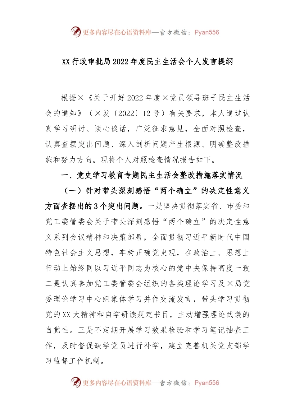 XX行政审批局2022年度民主生活会个人发言提纲.docx_第1页