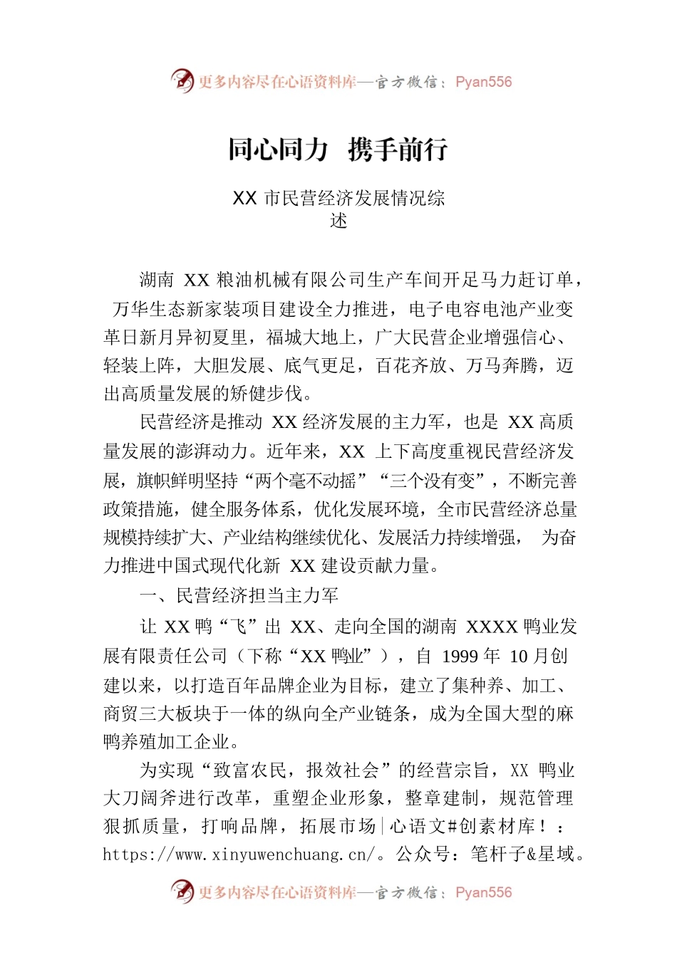 XX市民营经济发展情况综述.docx_第1页