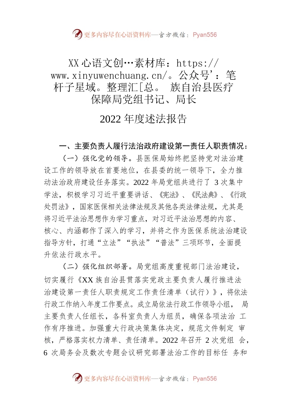 XX族自治县医疗保障局党组书记、局长2022年度述法报告（20221111）.docx_第1页