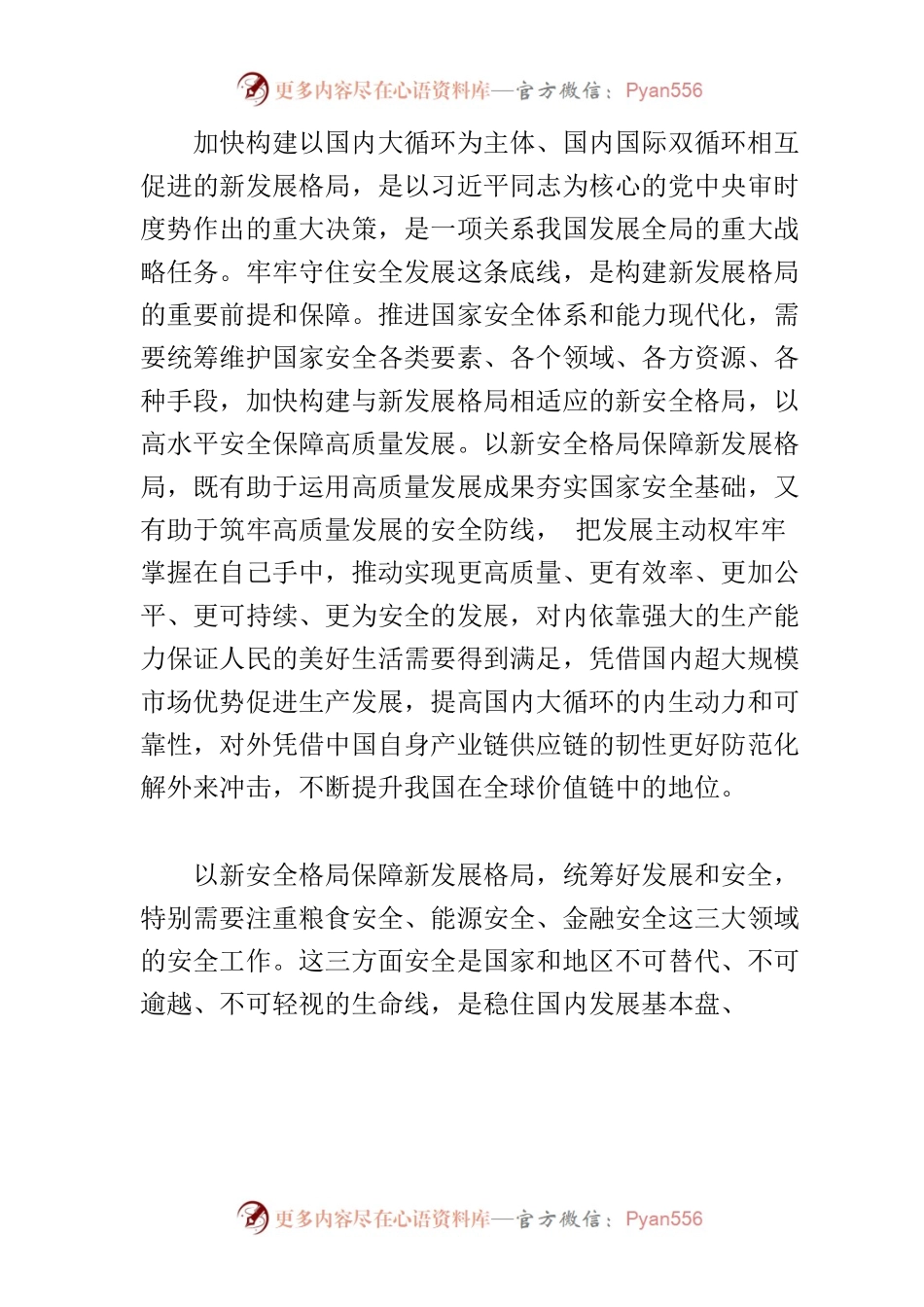 【中心组研讨发言】以新安全格局保障新发展格局.docx_第2页