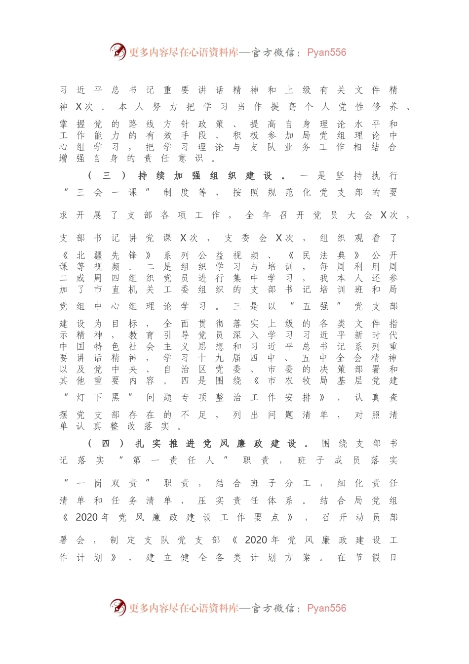 X市农牧业综合行政执法支队党支部书记抓党建述职报告.docx_第2页