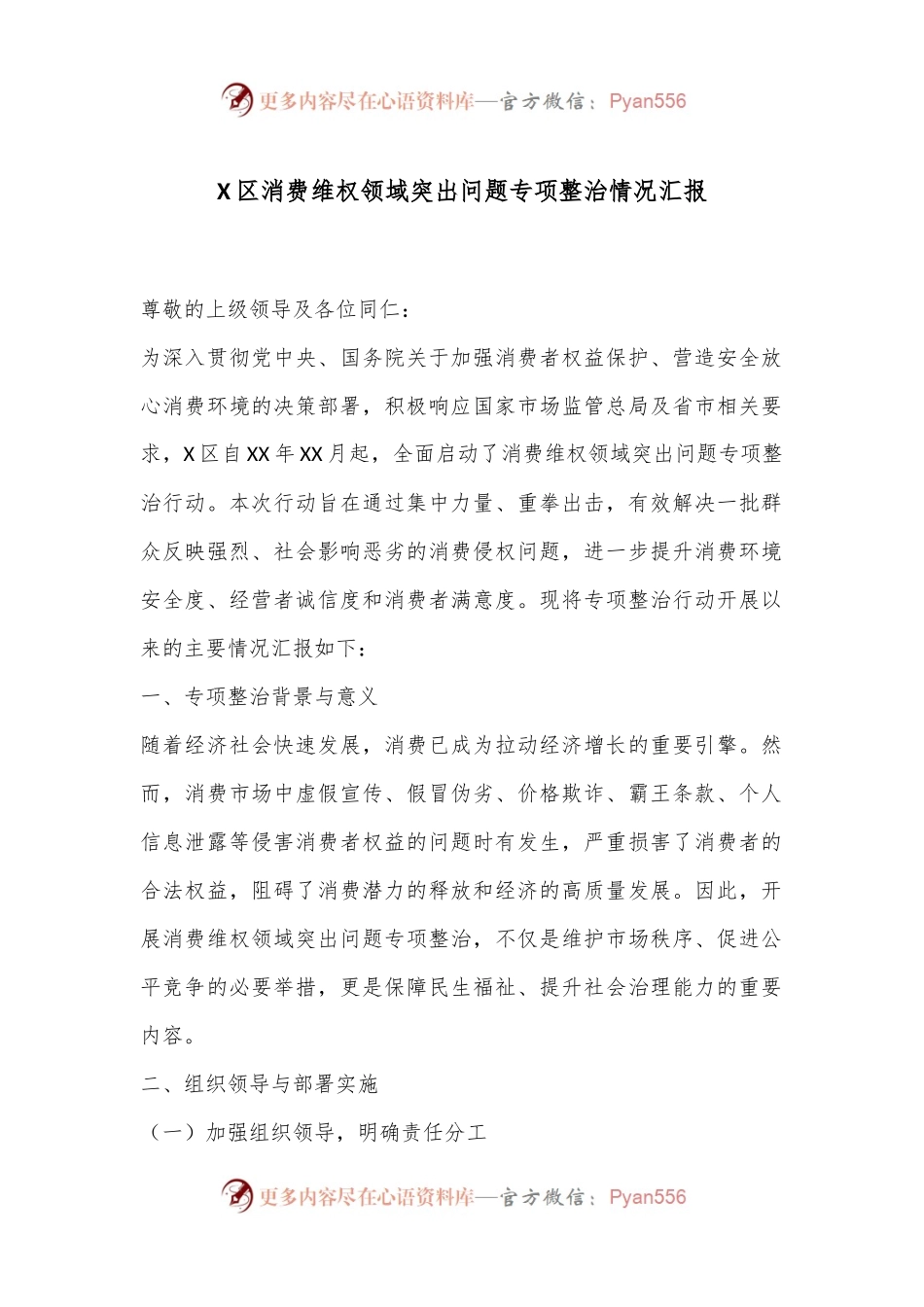 X区消费维权领域突出问题专项整治情况汇报.docx_第1页