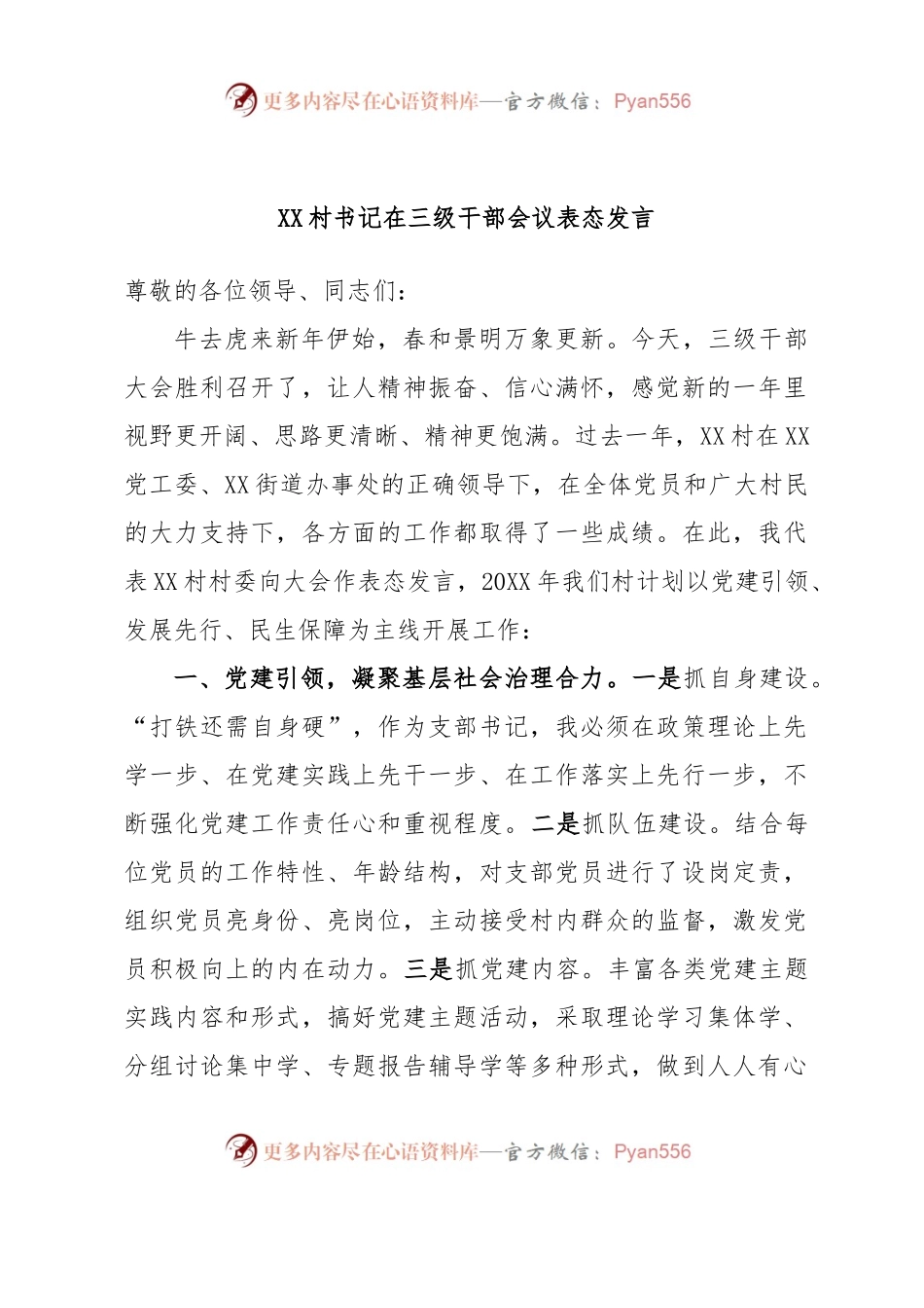 XX村书记在三级干部会议表态发言.docx_第1页