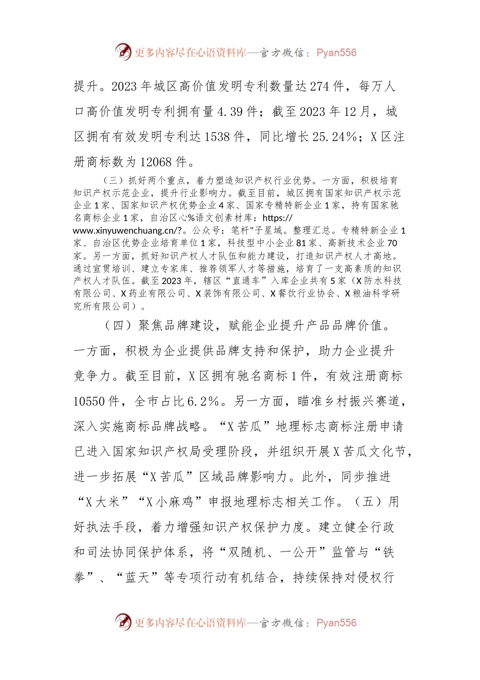 X区2023年度知识产权保护工作总结.docx_第2页