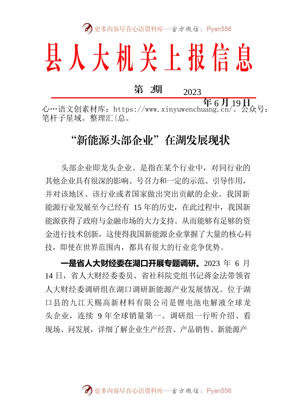 “新能源头部企业”发展现状.docx_第1页