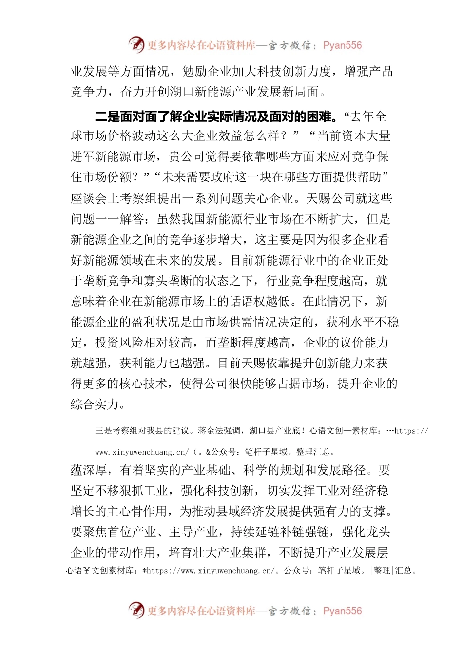 “新能源头部企业”发展现状.docx_第2页