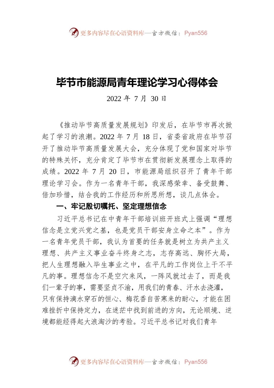 XX市能源局青年理论学习心得体会（20220730）.docx_第1页