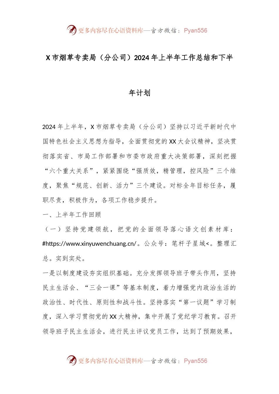 X市烟草专卖局（分公司）2024年上半年工作总结和下半年计划.docx_第1页