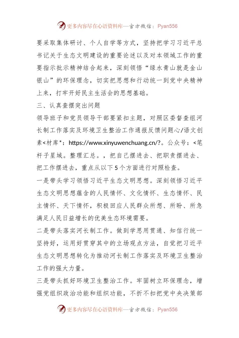 XX镇党委班子2023年河长制工作落实及环境卫生整治工作专题民主生活会实施方案.docx_第2页