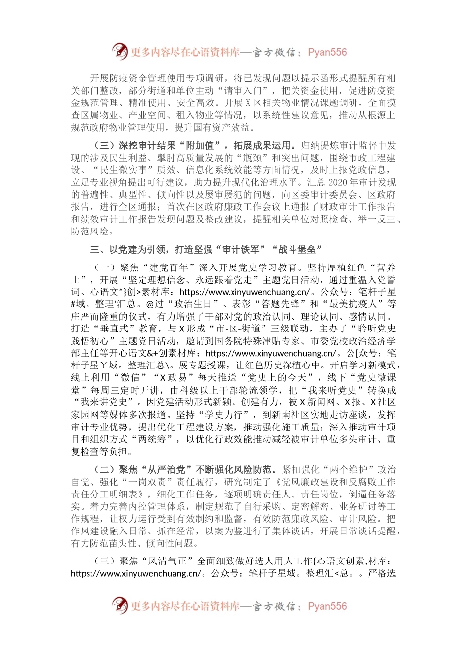 X区审计局2020-2021审计年度工作总结.docx_第1页