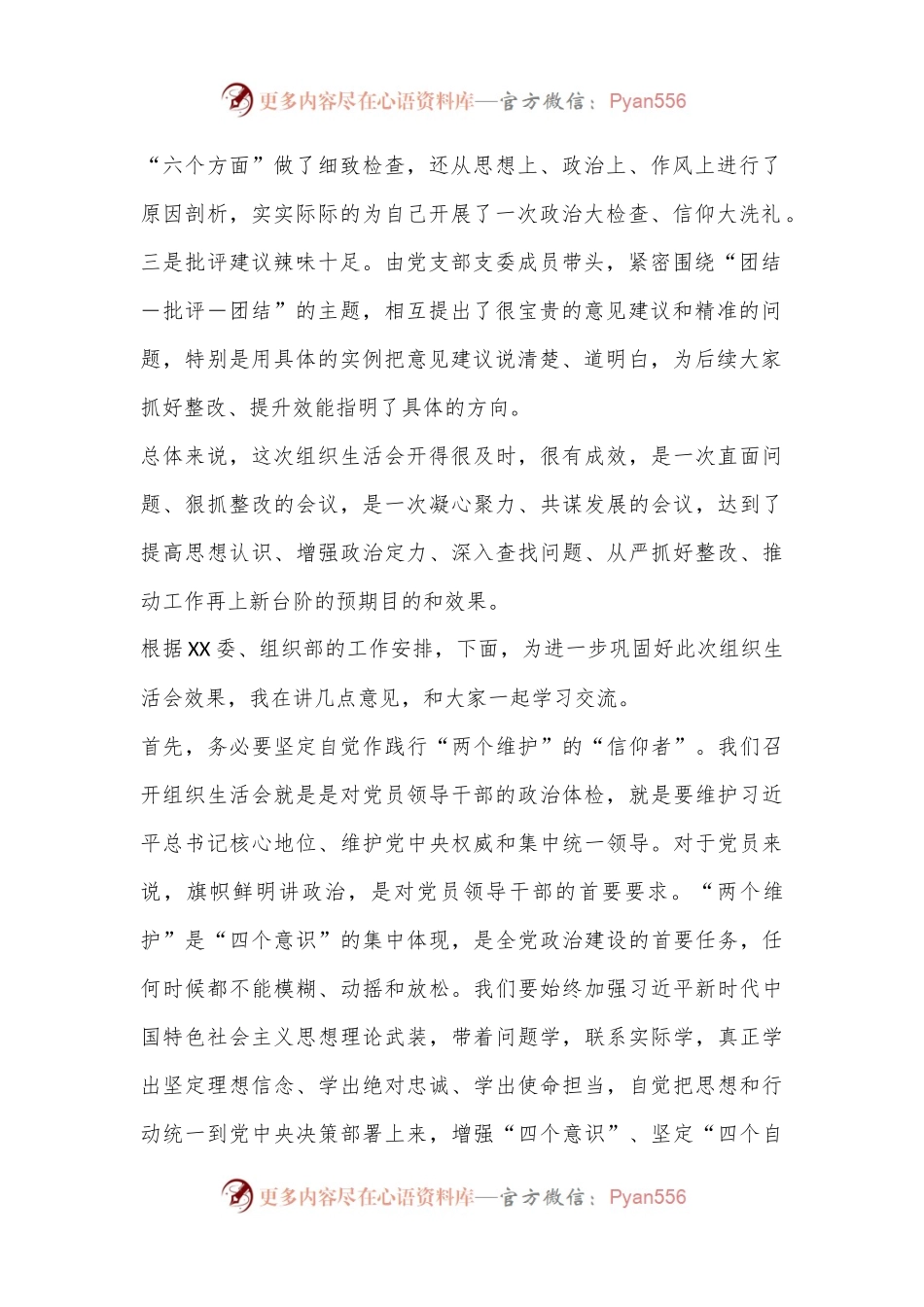 X领导干部在XXX党支部年度组织生活会上的点评总结讲话.docx_第2页