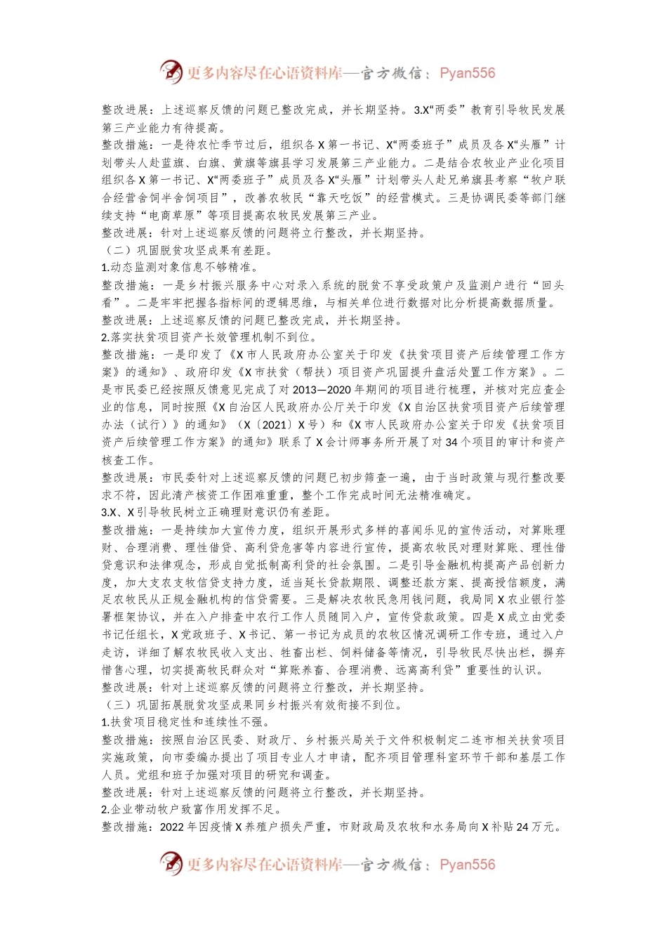 X市乡村振兴局关于巡察整改工作情况的报告.docx_第2页