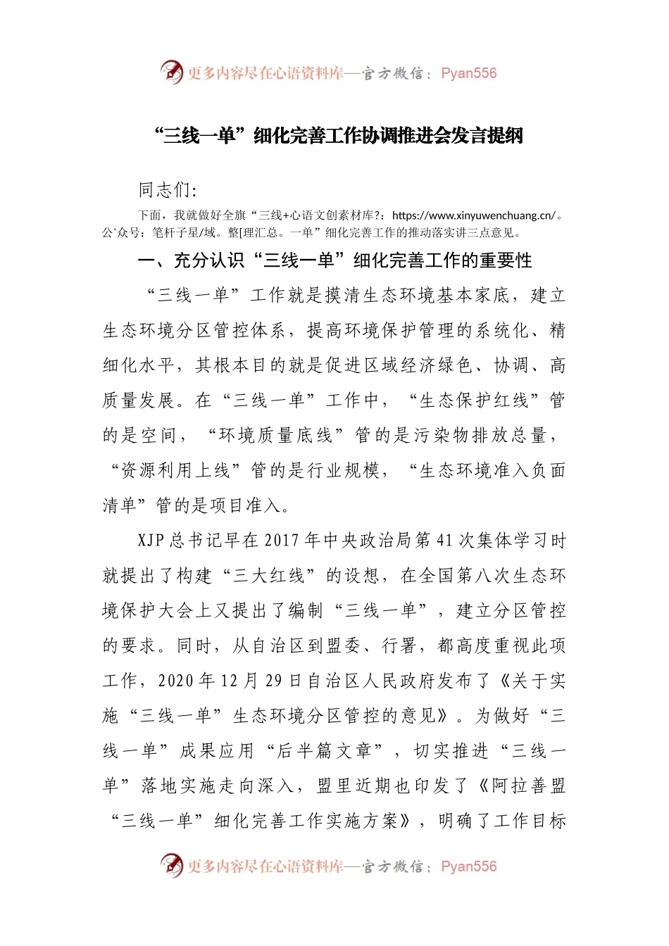 “三线一单”细化完善工作协调推进会发言提纲.docx_第1页