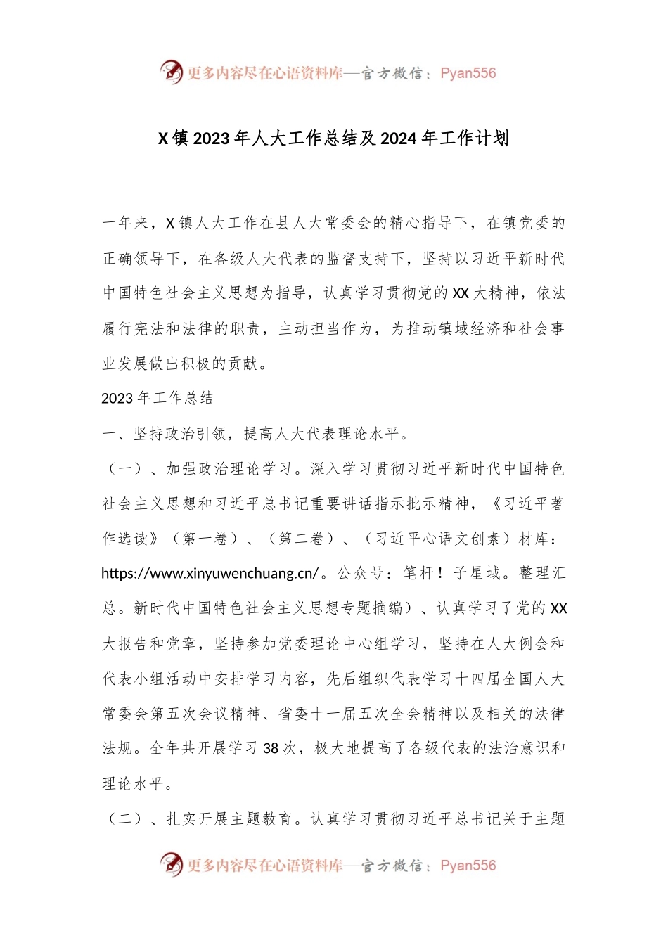 X镇2023年人大工作总结及2024年工作计划.docx_第1页
