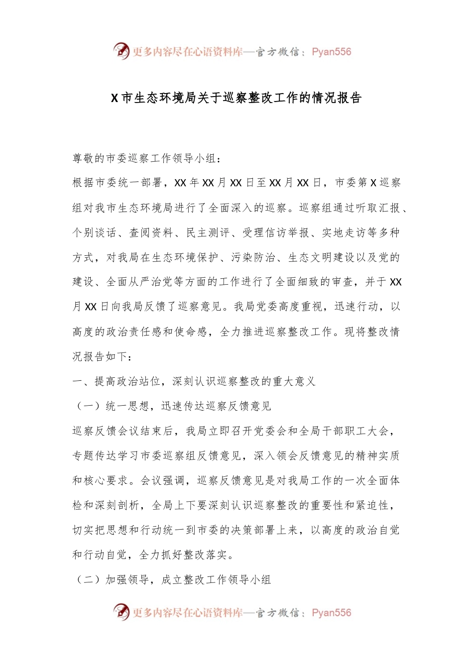 X市生态环境局关于巡察整改工作的情况报告.docx_第1页