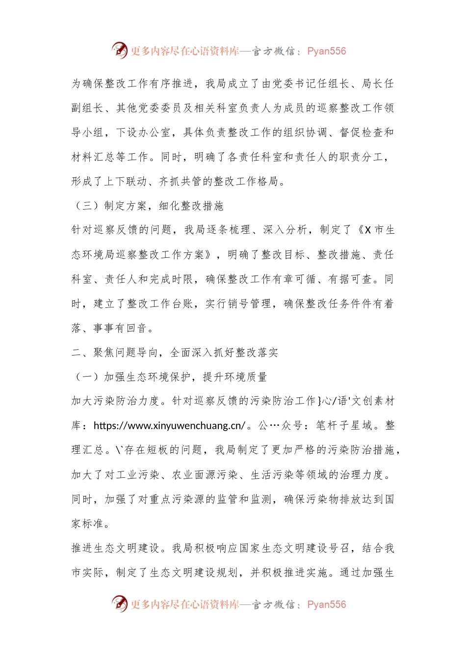 X市生态环境局关于巡察整改工作的情况报告.docx_第2页