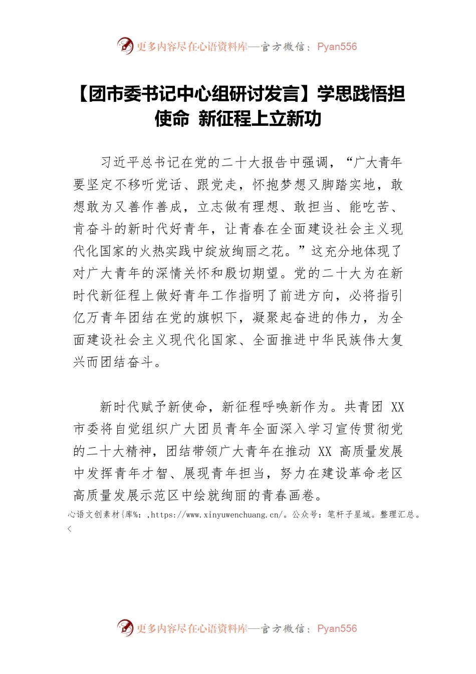 【团市委书记中心组研讨发言】学思践悟担使命 新征程上立新功.docx_第1页
