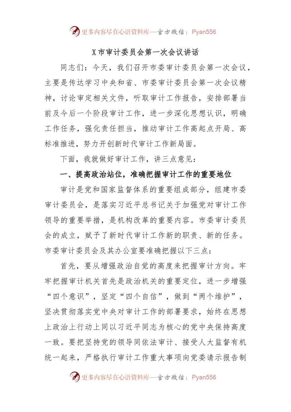 X市审计委员会第一次会议讲话.docx_第1页