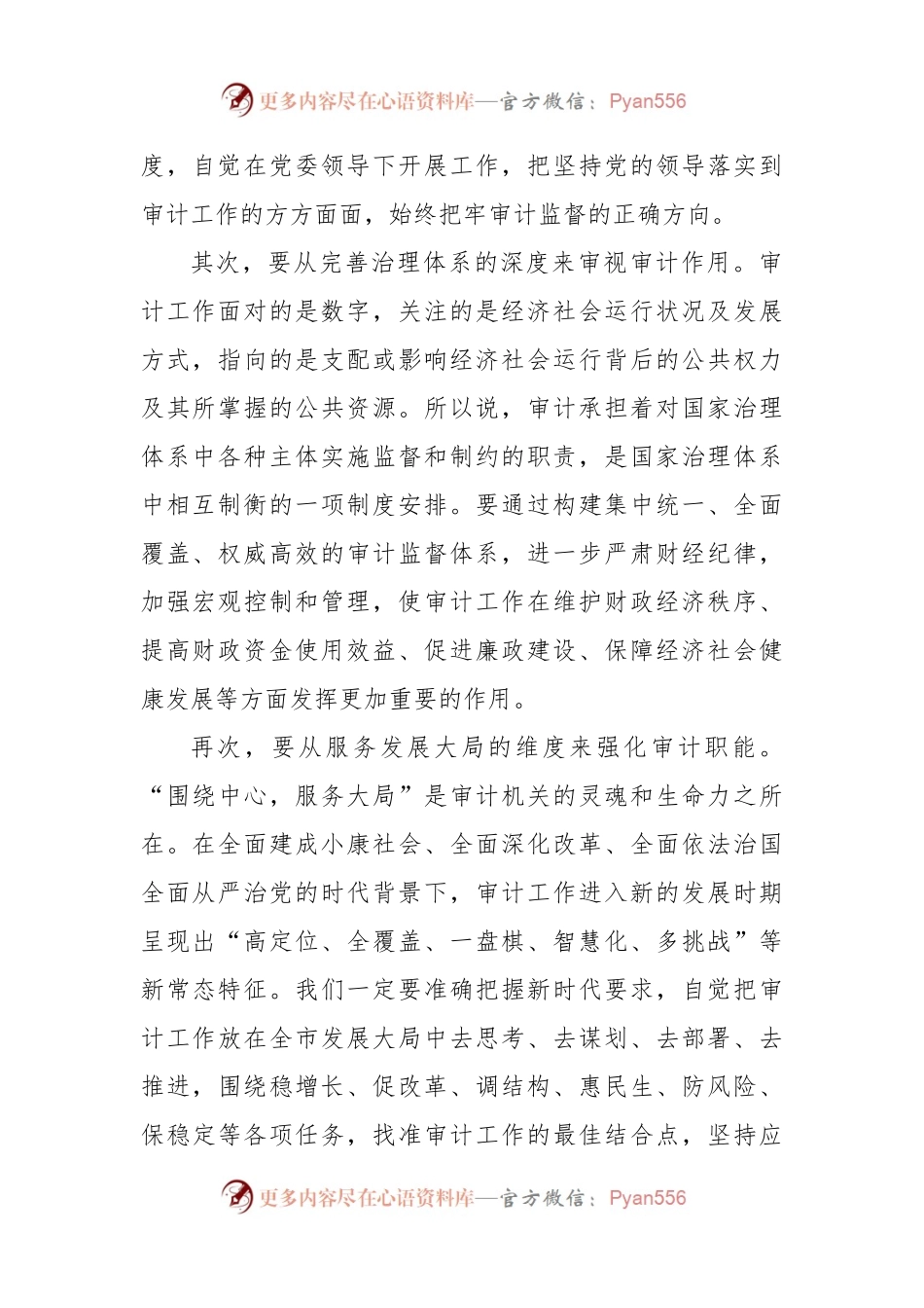 X市审计委员会第一次会议讲话.docx_第2页