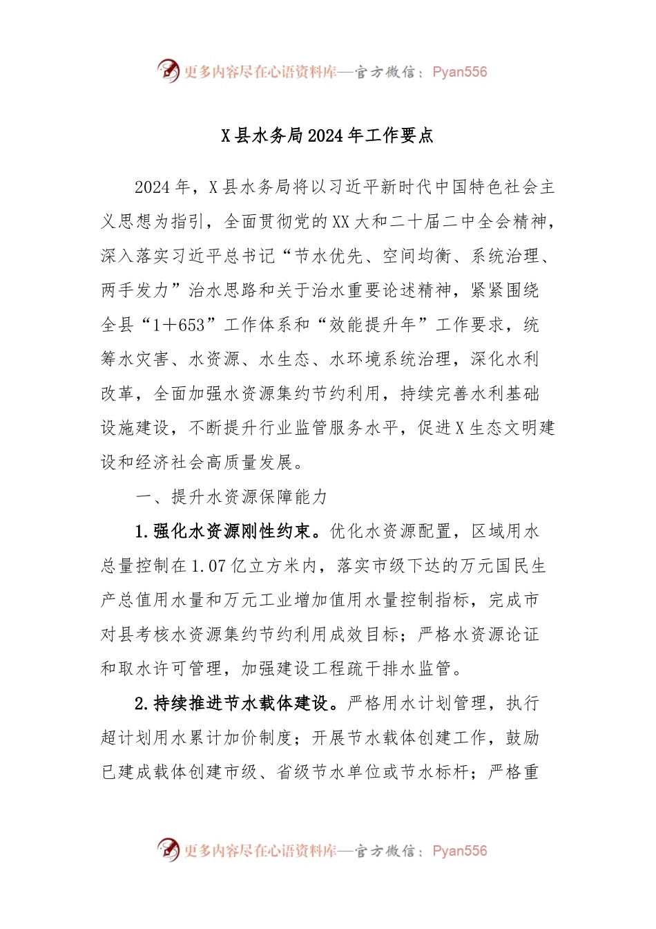 X县水务局2024年工作要点.docx_第1页