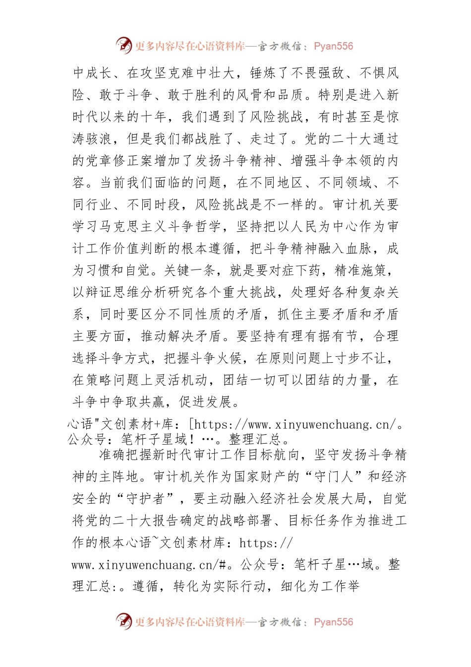 【审计局党组书记局长中心组研讨发言】以斗争精神践行新时代审计职责使命.docx_第2页