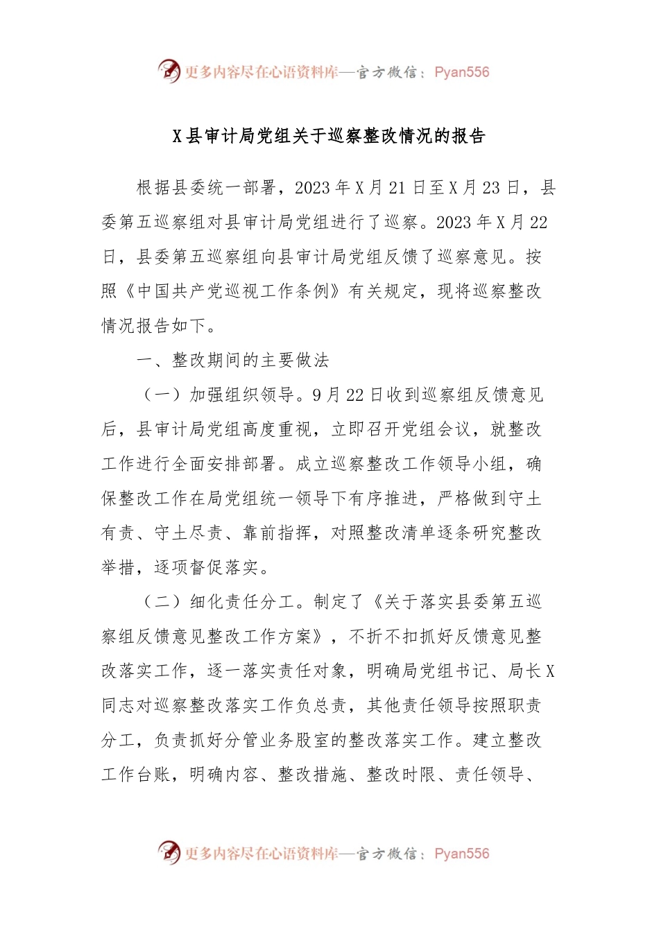 X县审计局党组关于巡察整改情况的报告.docx_第1页