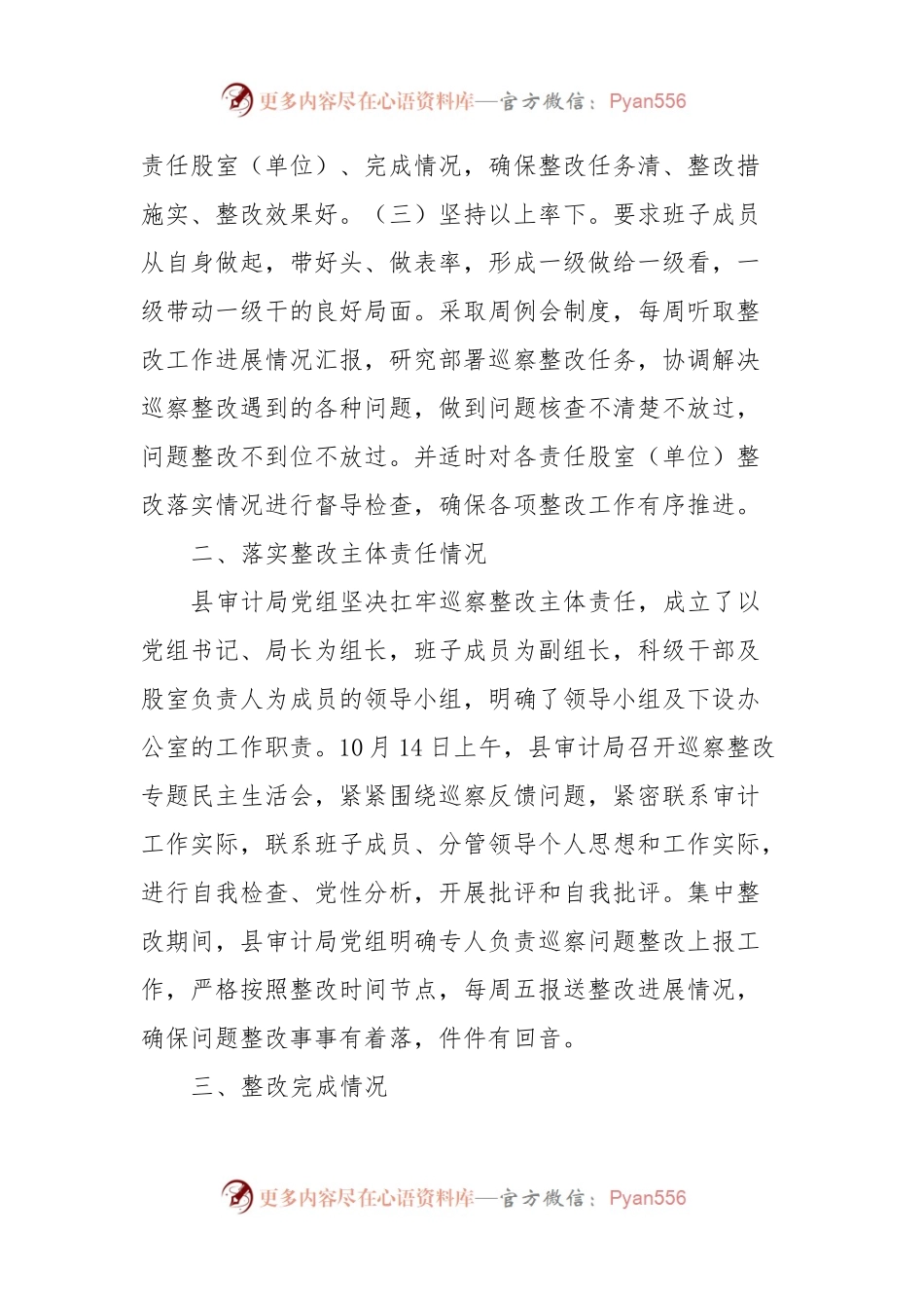 X县审计局党组关于巡察整改情况的报告.docx_第2页