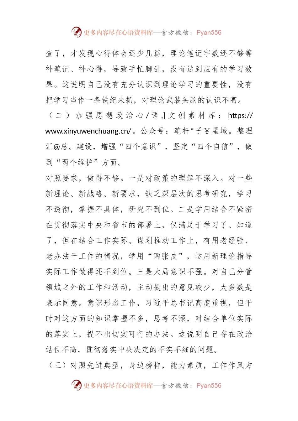 XX市文化和旅游局常务副局长党性检视剖析材料.docx_第2页