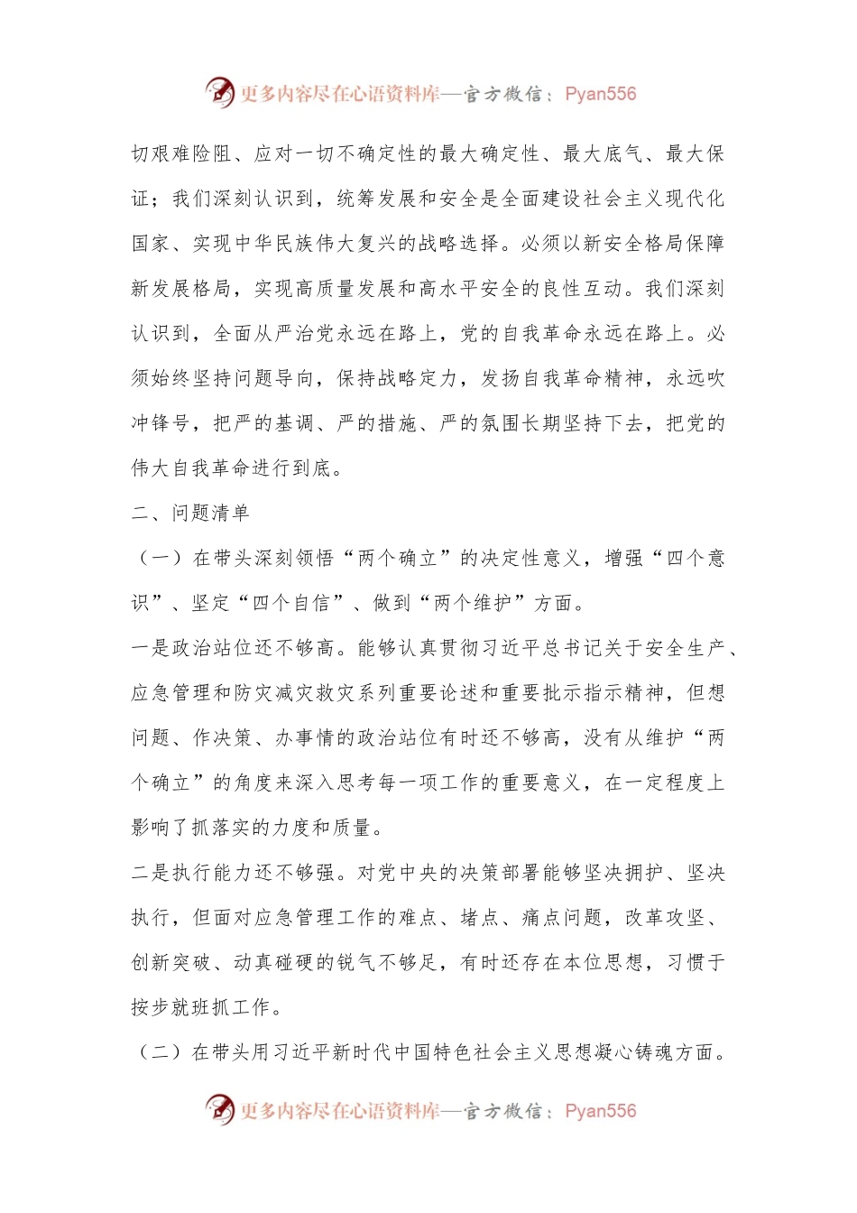 XX市应急局领导班子2022年度民主生活会对照检查材料.docx_第2页