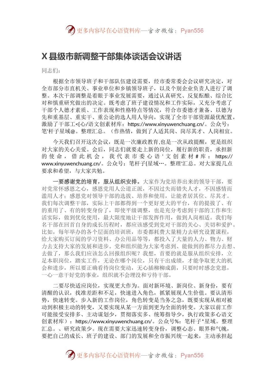 X县级市新调整干部集体谈话会议讲话.docx_第1页