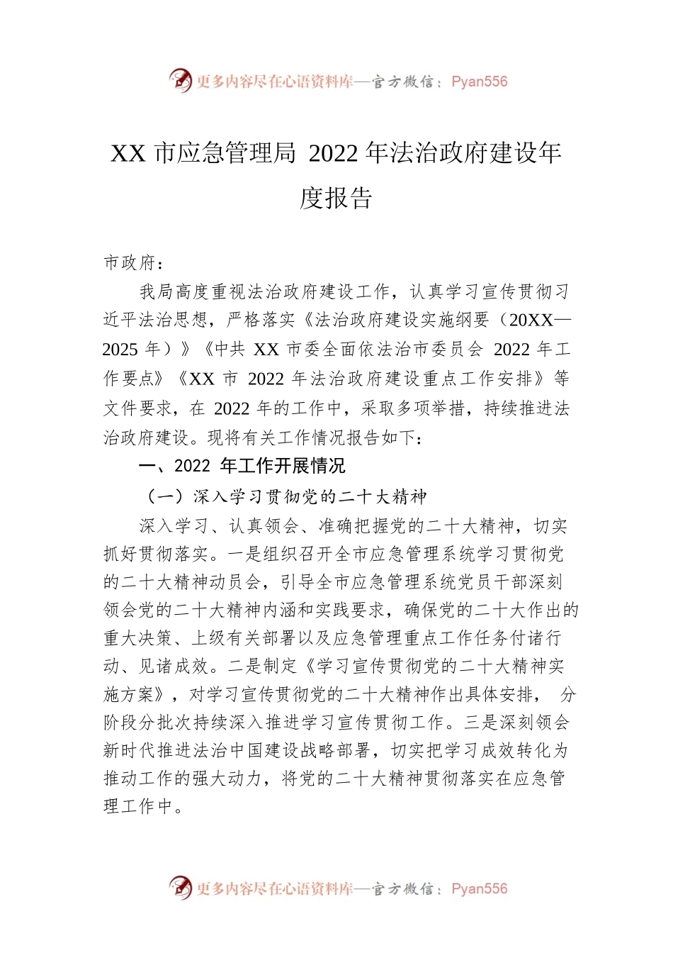 XX市应急管理局2022年法治政府建设年度报告（20221221）.docx_第1页