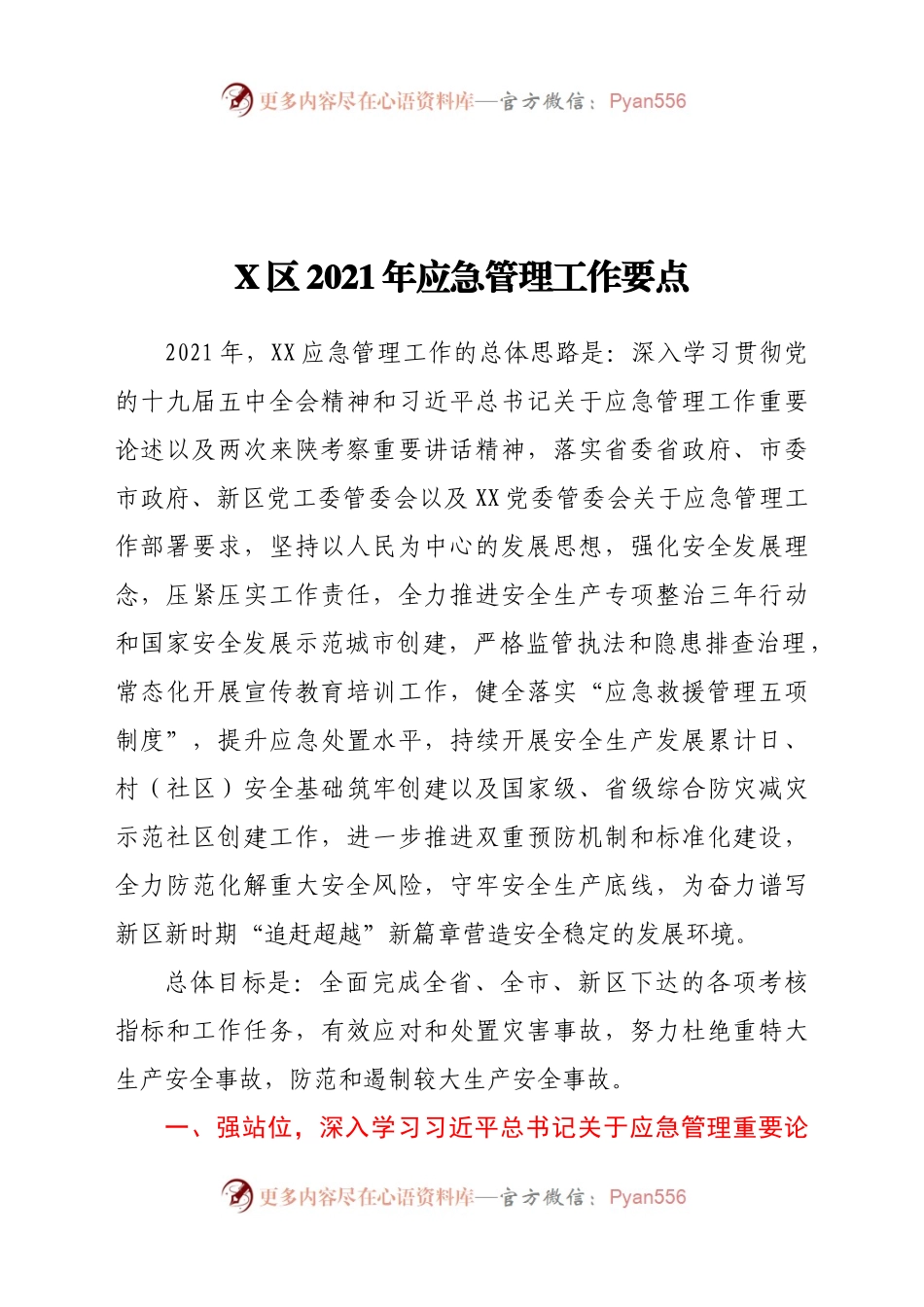 X区2021年应急管理工作要点369117.docx_第1页