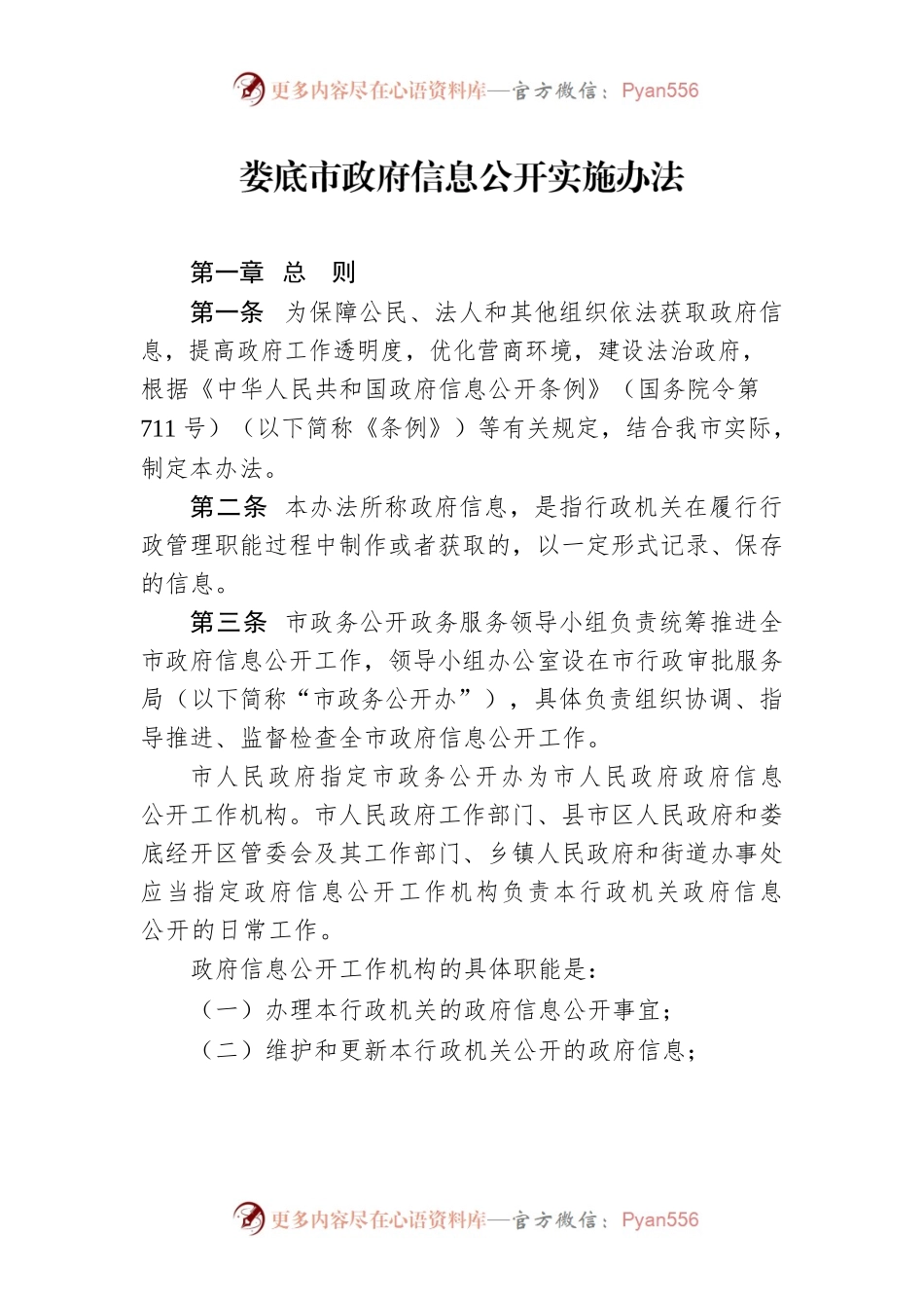 XX市政府信息公开实施办法.docx_第1页