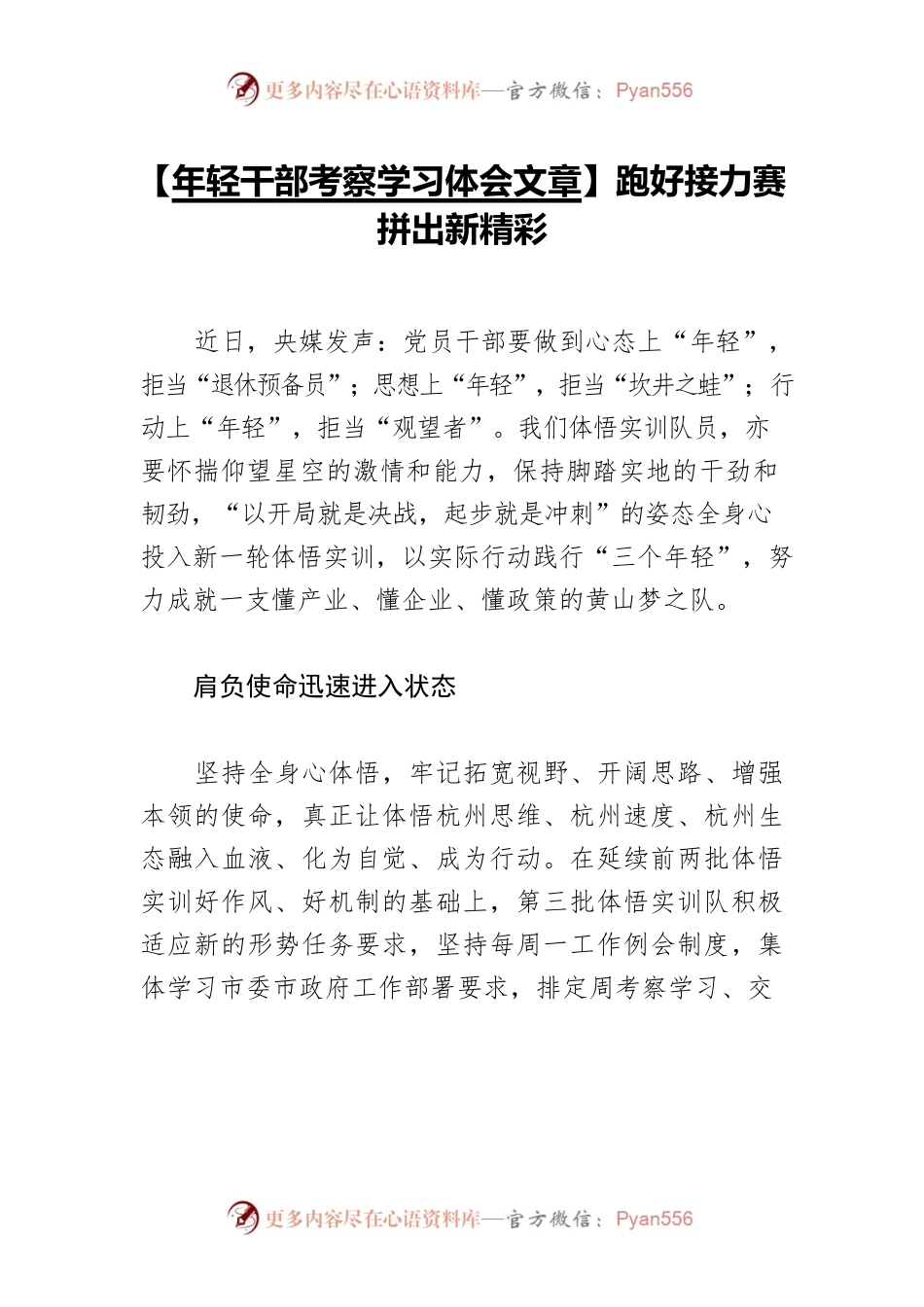 【年轻干部考察学习体会文章】跑好接力赛 拼出新精彩.docx_第1页