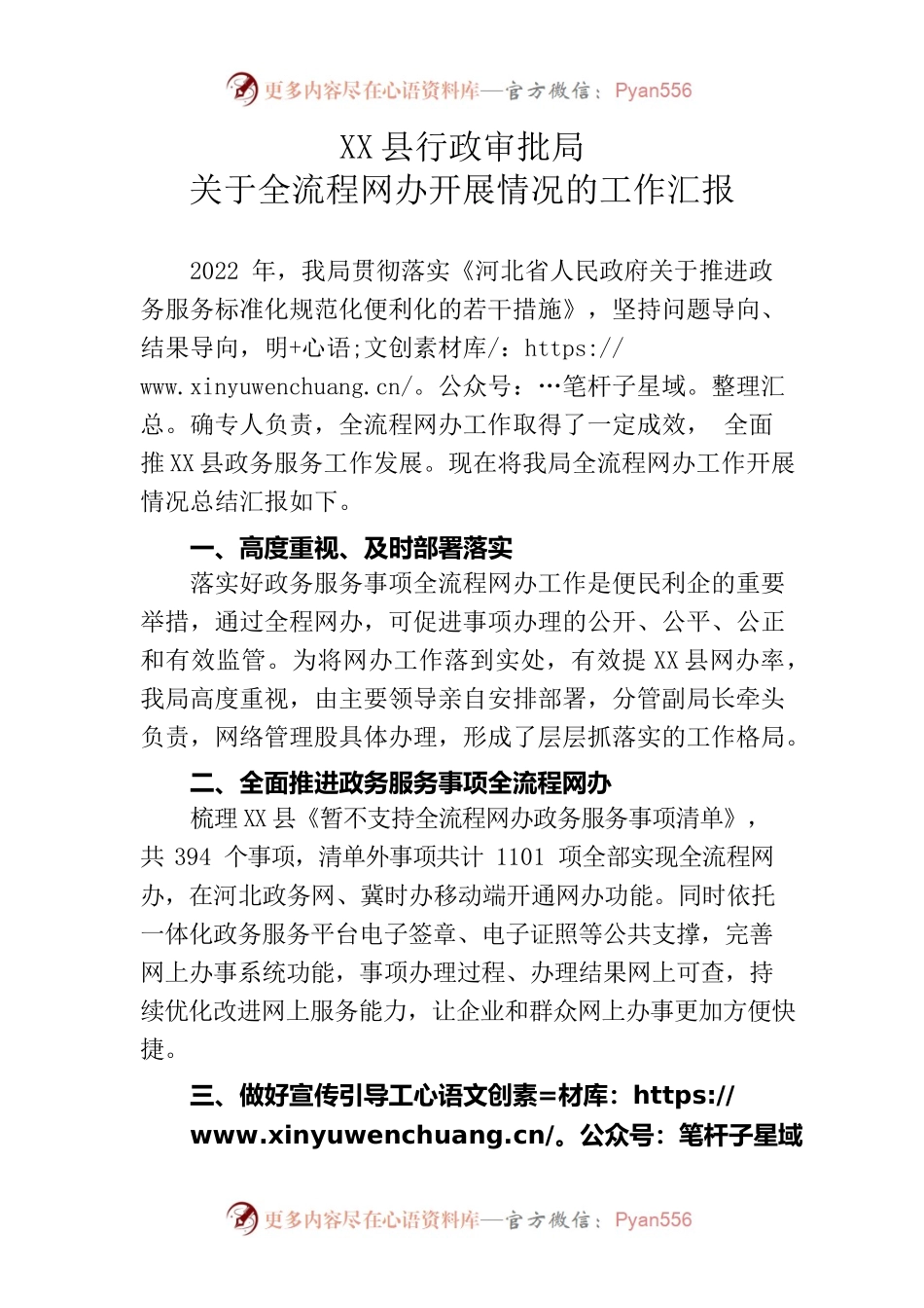 X县行政审批局关于全流程网办开展情况的工作汇报.docx_第1页