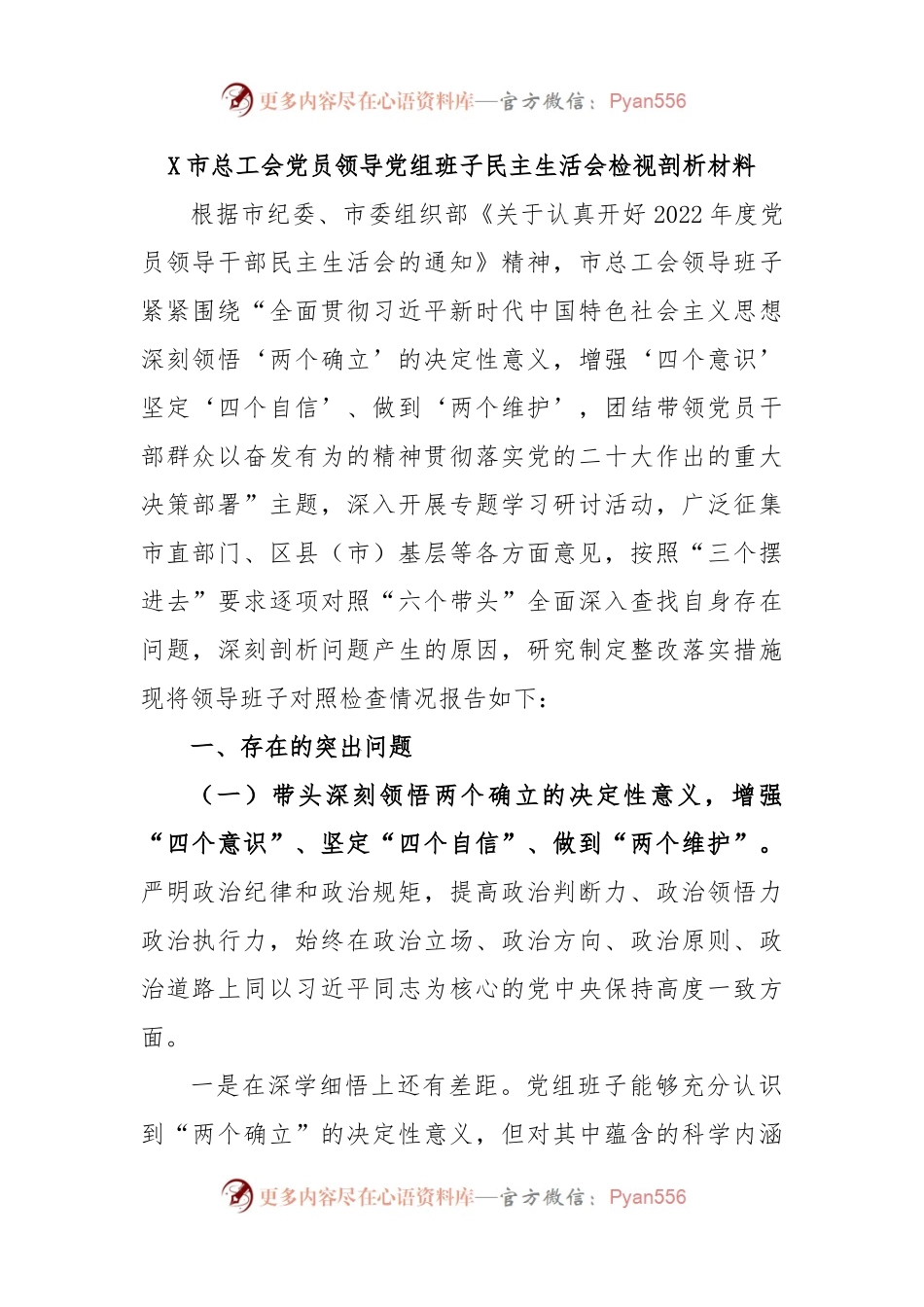 X市总工会党员领导党组班子民主生活会检视剖析材料.docx_第1页