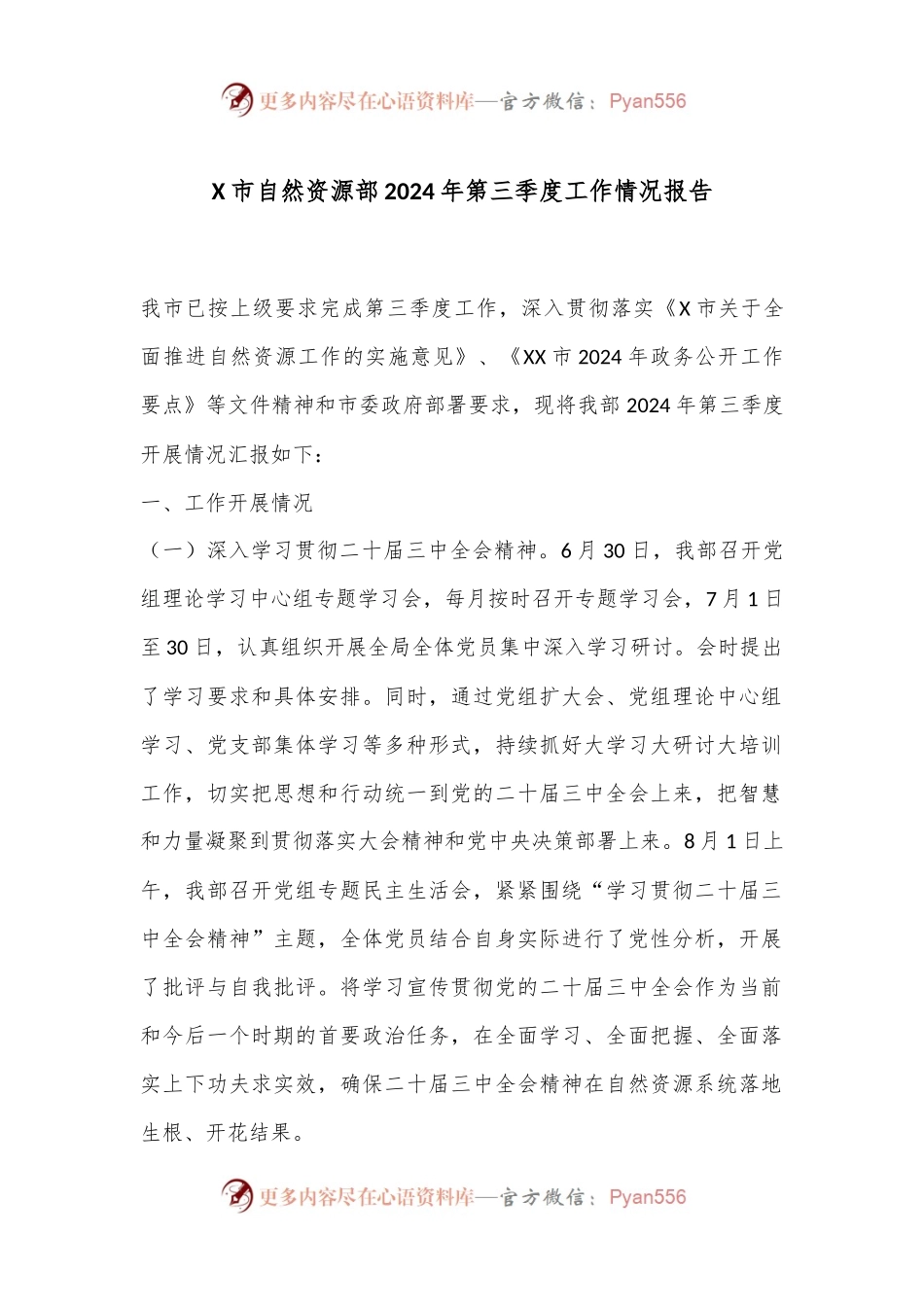X市自然资源部2024年第三季度工作情况报告.docx_第1页