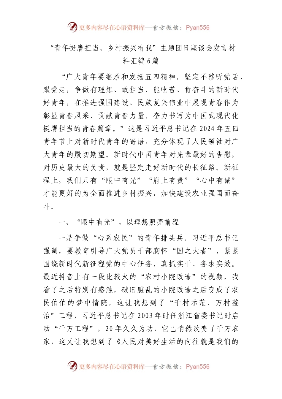 “青年挺膺担当、乡村振兴有我”主题团日座谈会发言6篇.docx_第1页