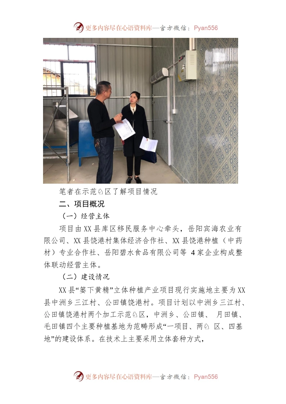 X县“篓下黄精”立体种植产业调研报告.docx_第2页