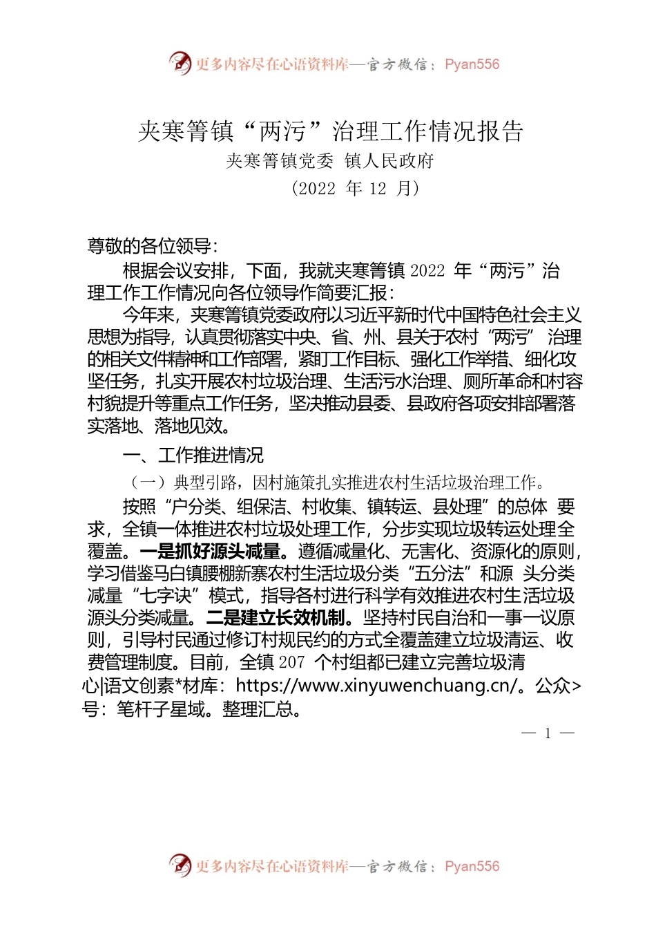 XX镇“两污”治理工作情况报告.docx_第1页
