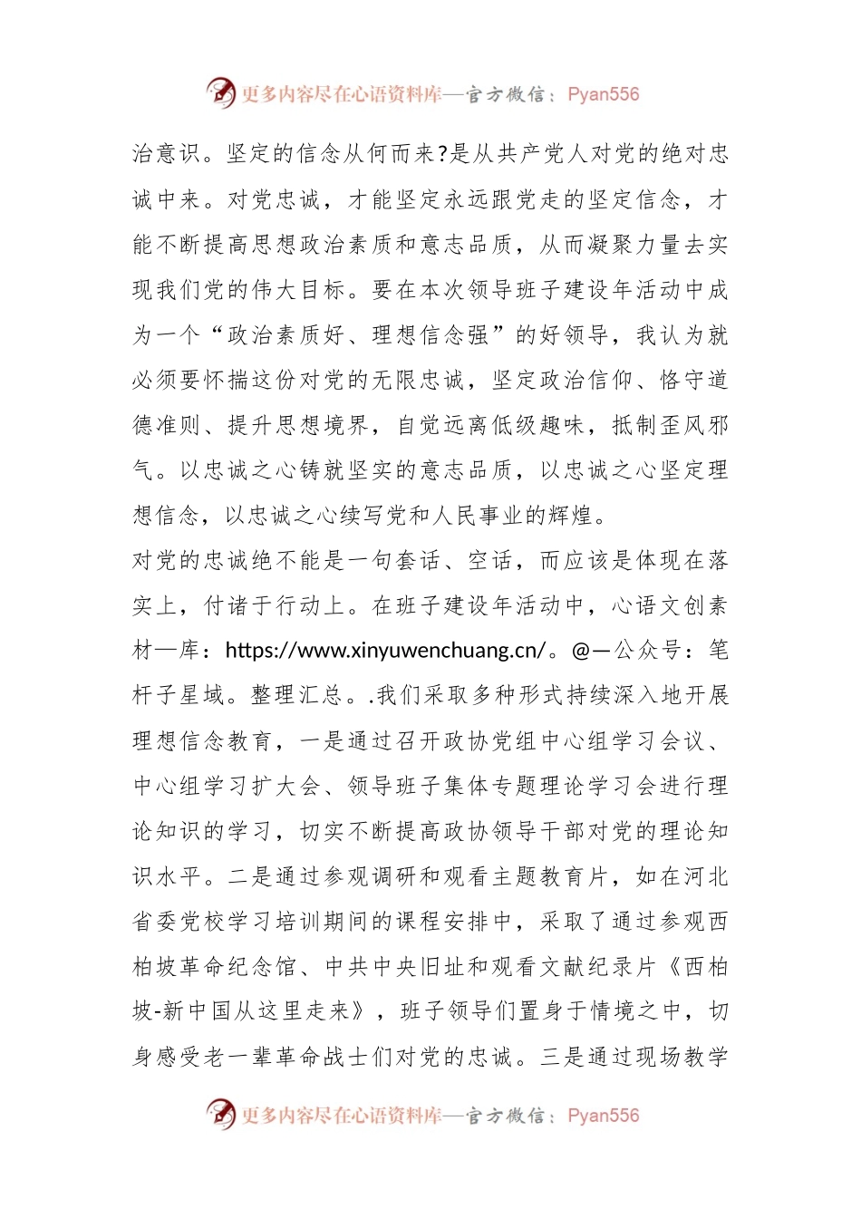 X县2023年领导班子建设年活动上的发言材料.docx_第2页