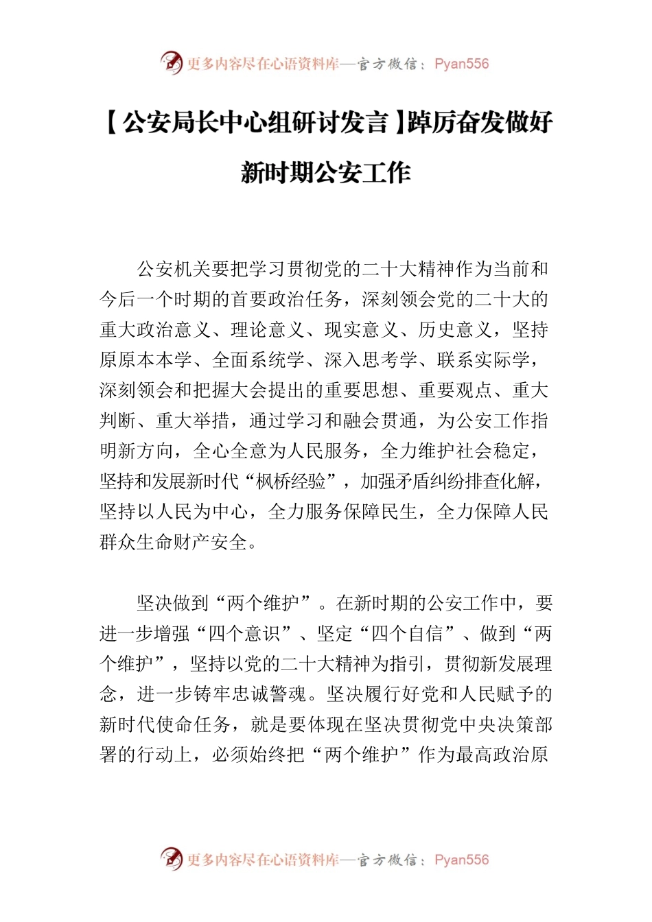 【公安局长中心组研讨发言】踔厉奋发做好新时期公安工作.docx_第1页