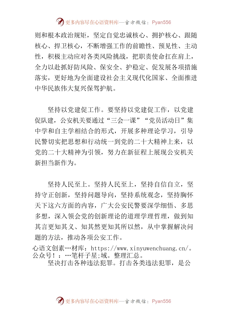 【公安局长中心组研讨发言】踔厉奋发做好新时期公安工作.docx_第2页