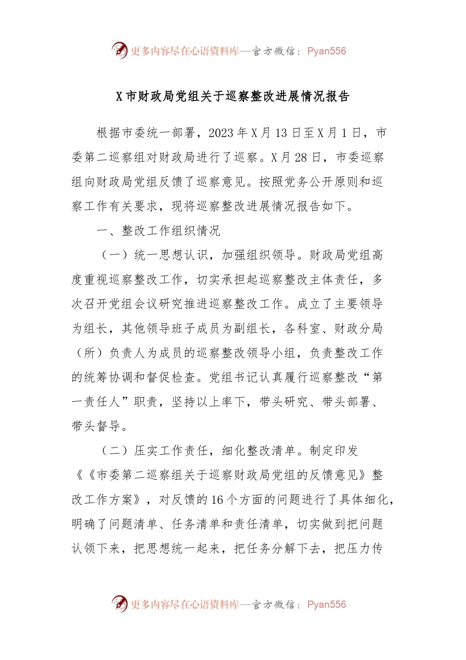 X市财政局党组关于巡察整改进展情况报告.docx_第1页