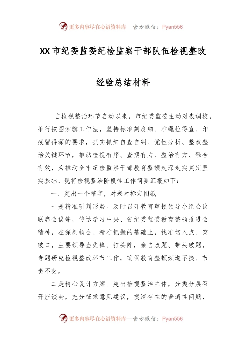 XX市纪委监委纪检监察干部队伍检视整改经验总结材料.docx_第1页