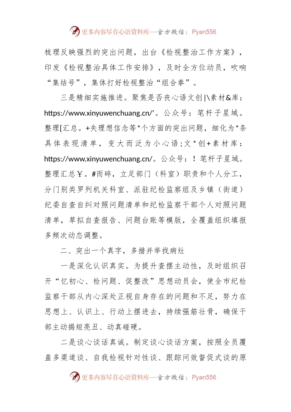 XX市纪委监委纪检监察干部队伍检视整改经验总结材料.docx_第2页