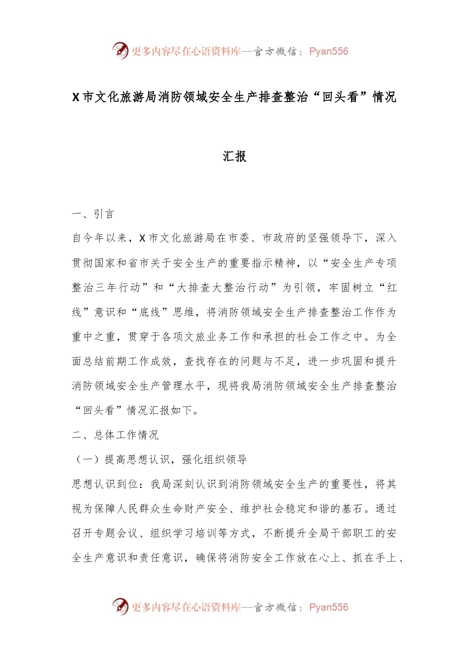 X市文化旅游局消防领域安全生产排查整治“回头看”情况汇报.docx_第1页